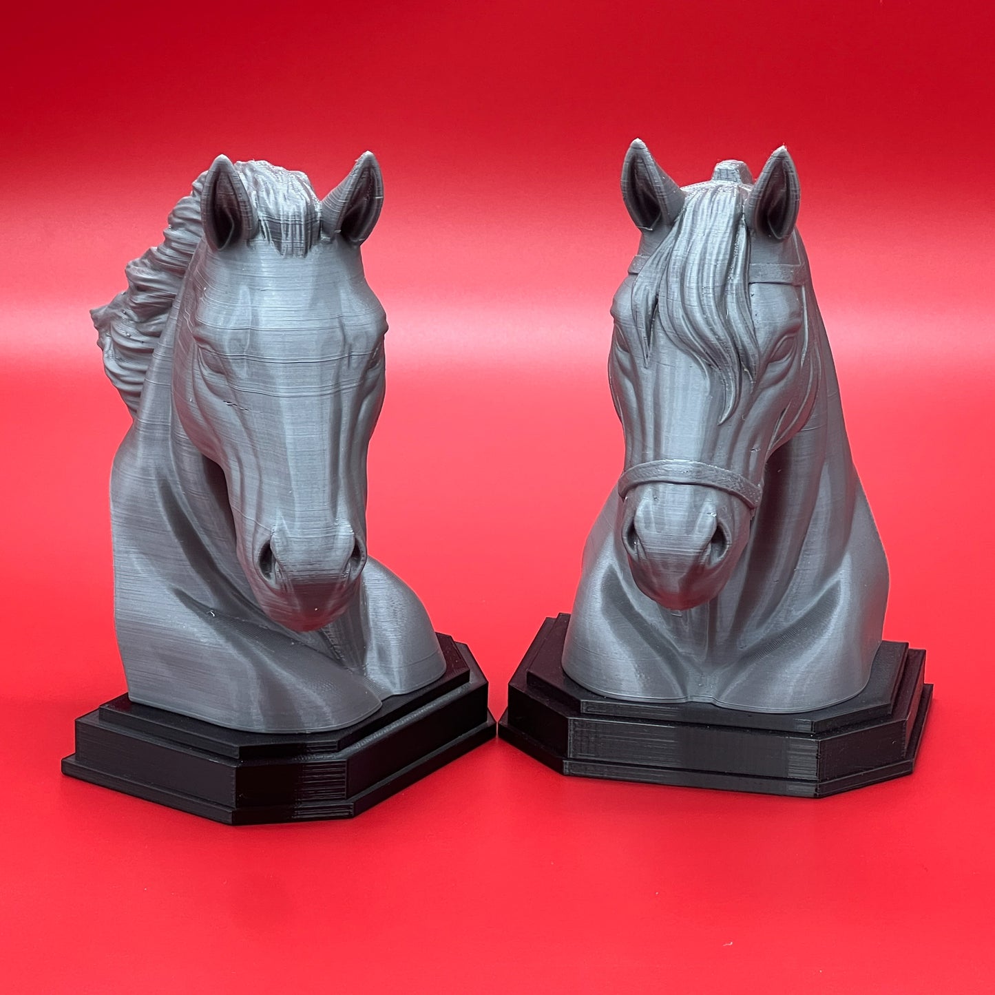 Tame and Wild Horses